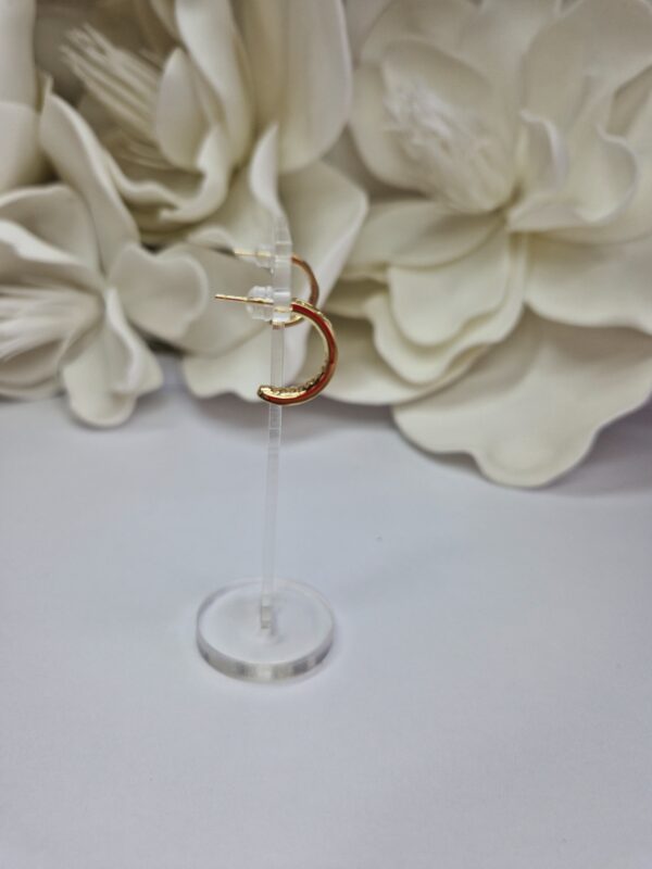 11 (3) kolczyki kółka stal chirurgiczna 1011