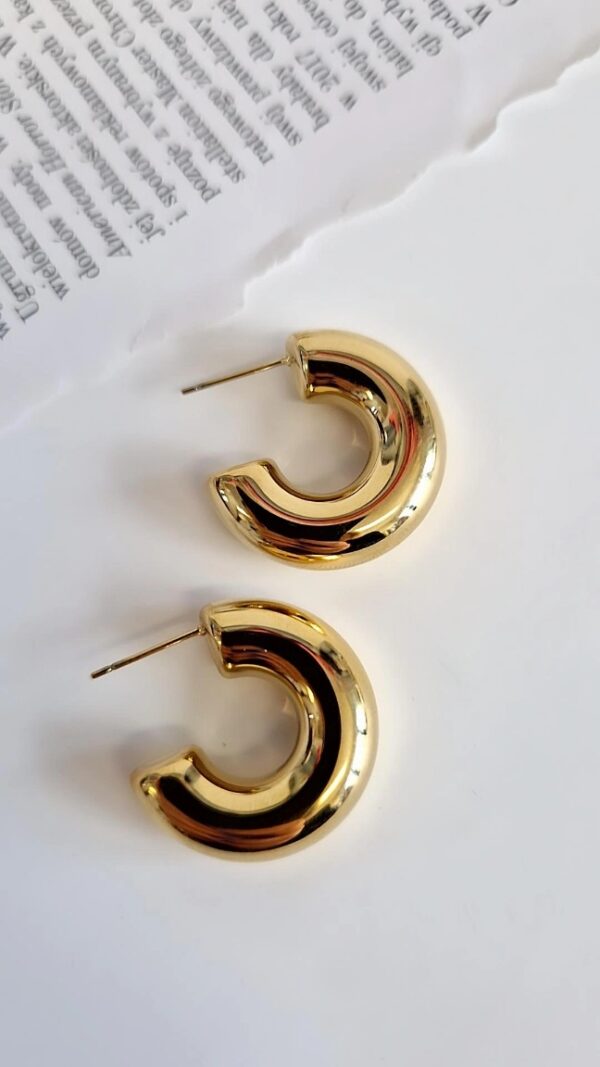 eId:1920777128125964 Kolczyki grube koła 1154