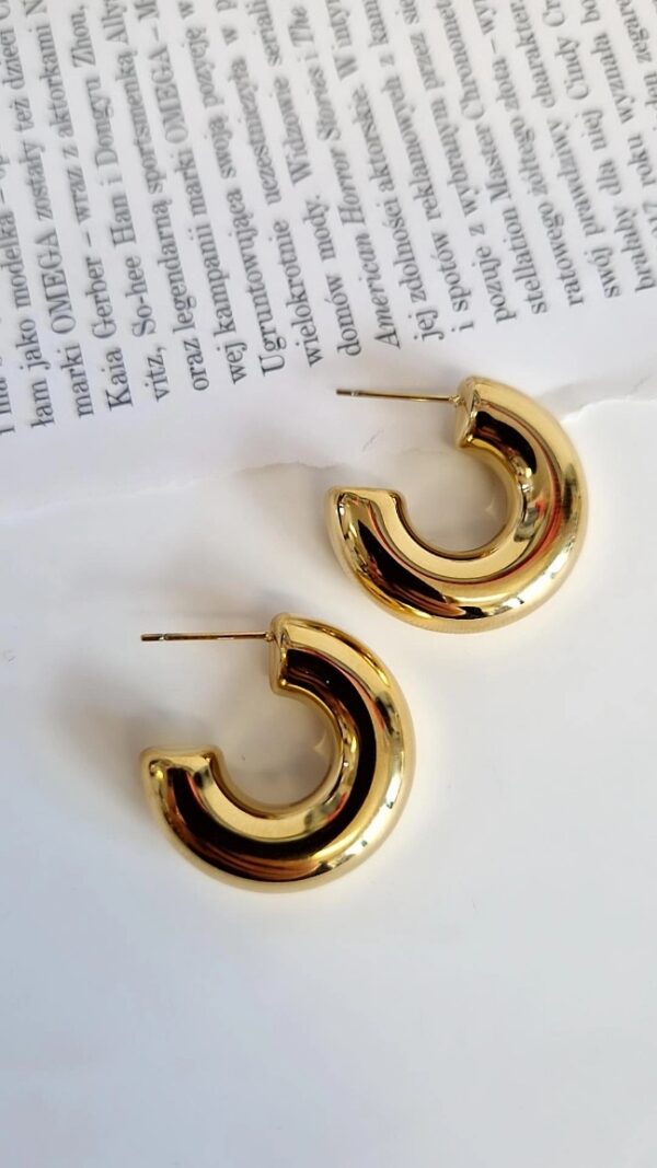 eId:1920777128125964 Kolczyki grube koła 1154