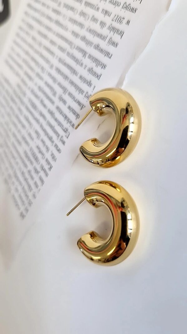 eId:1920777128125964 Kolczyki grube koła 1154